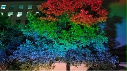 户外景观亮化凸显城市文化特色LED彩虹照树灯在城市夜景中绽放光彩
